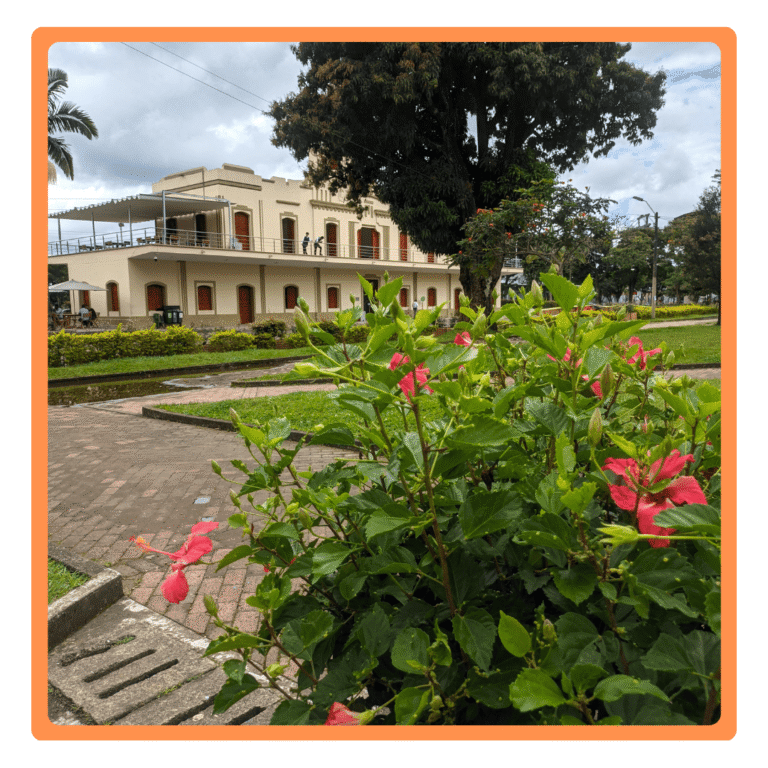 parque olaya