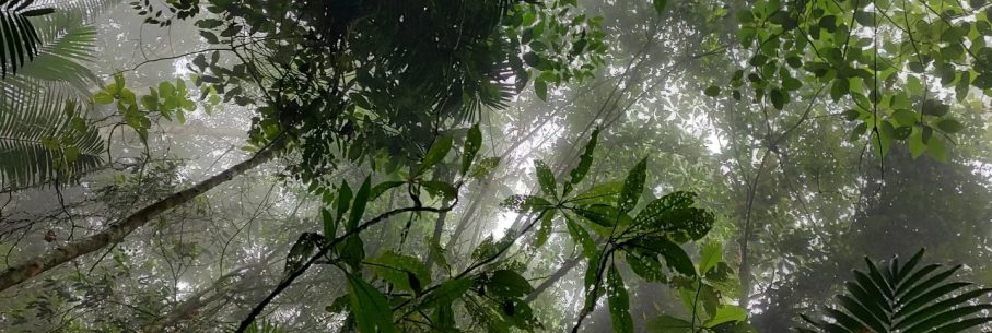 428604318_357442380462708_2937692999719721013_n